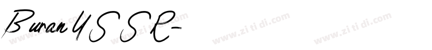 Buran USSR字体转换